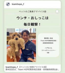 泉南動物病院画像