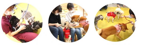 泉南動物病院画像