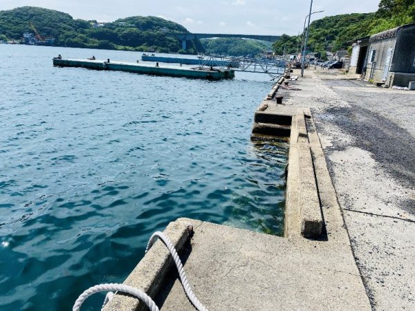 泉南動物病院画像