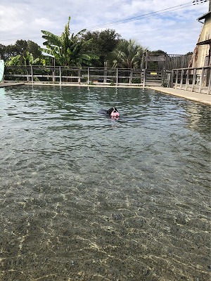 泉南動物病院画像