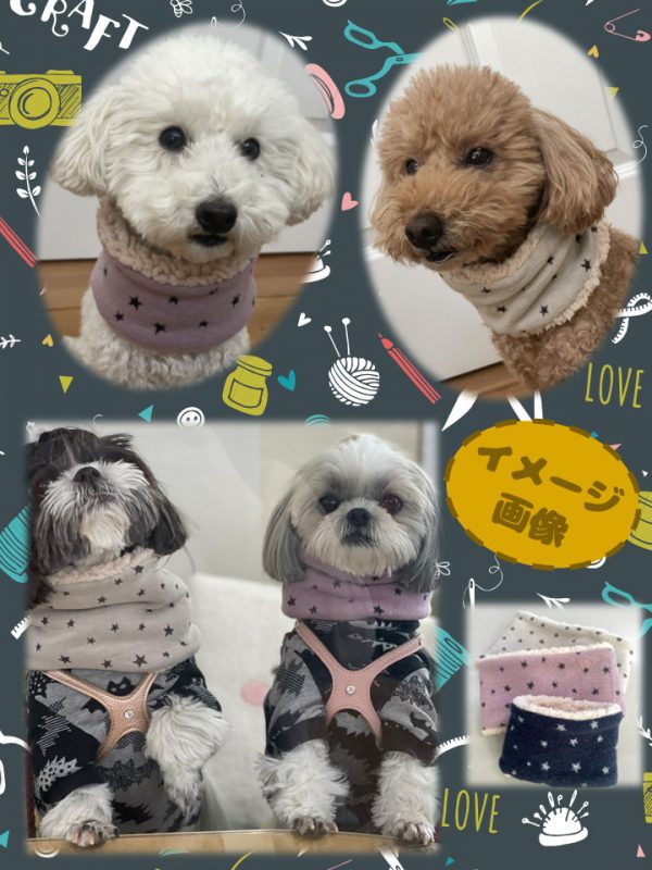 泉南動物病院画像