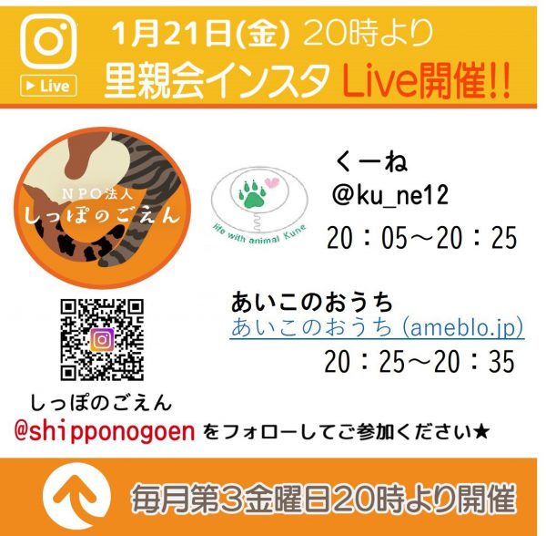 泉南動物病院画像