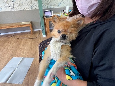 泉南動物病院画像