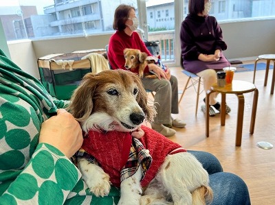 泉南動物病院画像