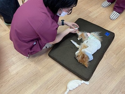 泉南動物病院画像