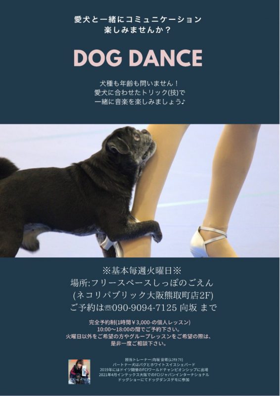 泉南動物病院画像