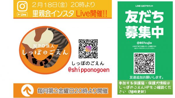 泉南動物病院画像