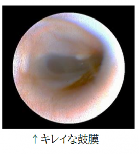 泉南動物病院画像