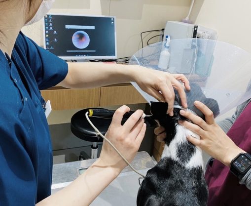 泉南動物病院画像