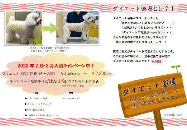 泉南動物病院画像