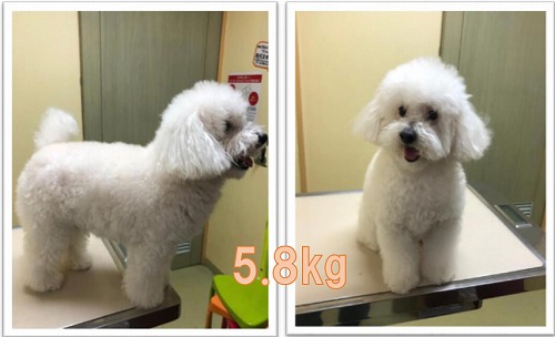 泉南動物病院画像