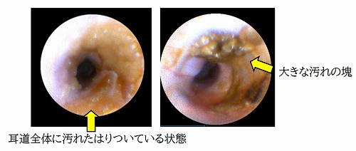 泉南動物病院画像