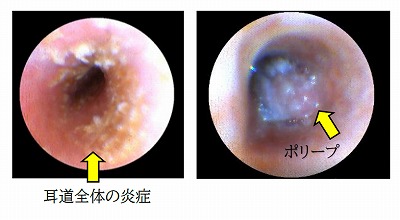 泉南動物病院画像