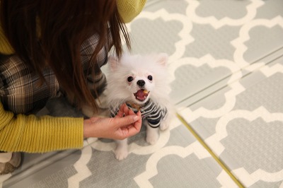 泉南動物病院画像