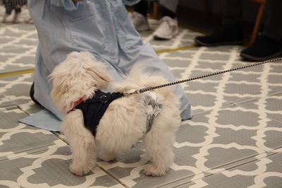 泉南動物病院画像