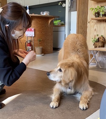 泉南動物病院画像