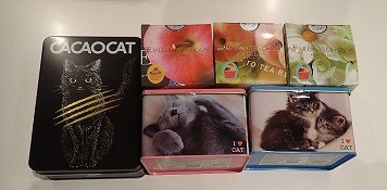 泉南動物病院画像