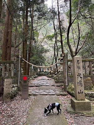泉南動物病院画像