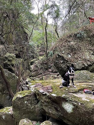 泉南動物病院画像