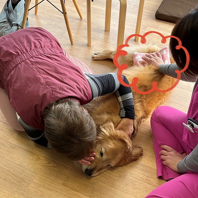 泉南動物病院画像