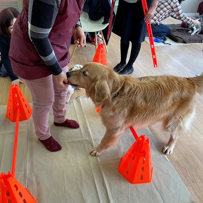 泉南動物病院画像