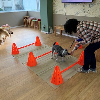 泉南動物病院画像