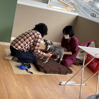 泉南動物病院画像