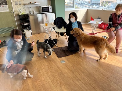 泉南動物病院画像