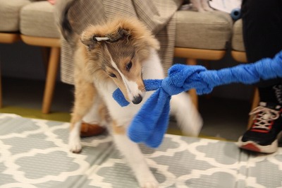 泉南動物病院画像