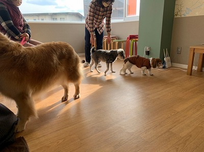 泉南動物病院画像