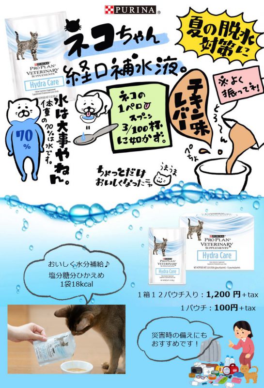 泉南動物病院画像