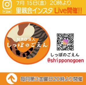 泉南動物病院画像