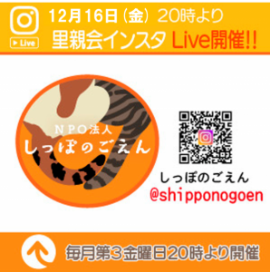 泉南動物病院画像