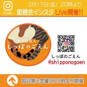 泉南動物病院画像