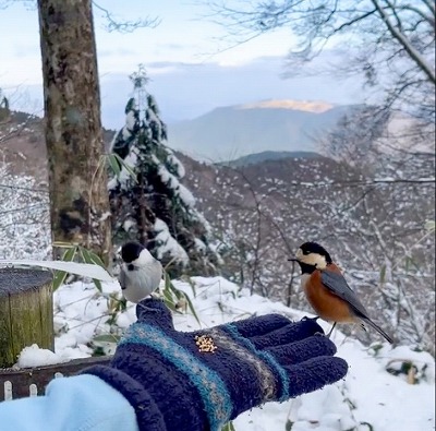 サムネイル