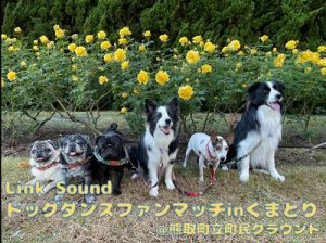 泉南動物病院画像