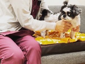 泉南動物病院画像