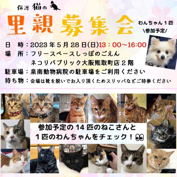 泉南動物病院画像