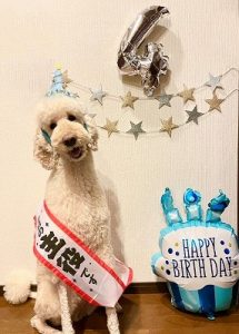 泉南動物病院画像