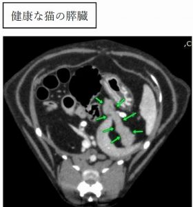 泉南動物病院画像