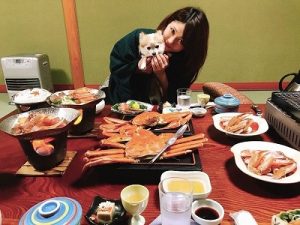 泉南動物病院画像