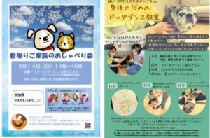 泉南動物病院画像