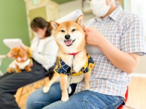 泉南動物病院画像