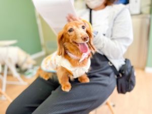 泉南動物病院画像