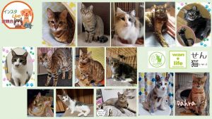 泉南動物病院画像