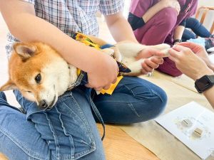 泉南動物病院画像