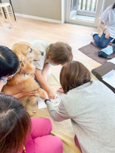 泉南動物病院画像
