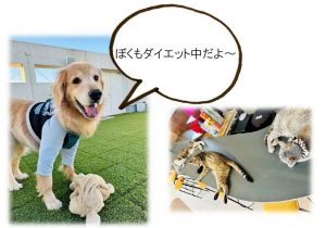 泉南動物病院画像