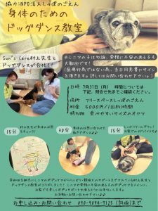 泉南動物病院画像