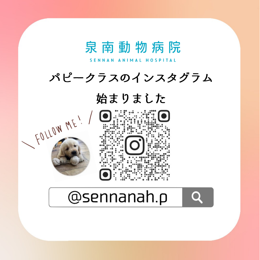 泉南動物病院画像